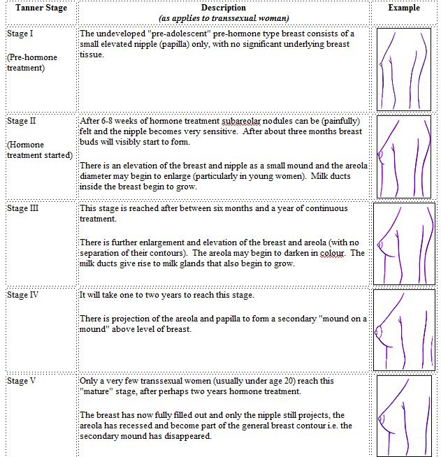 Breast Development The Transgender Guide