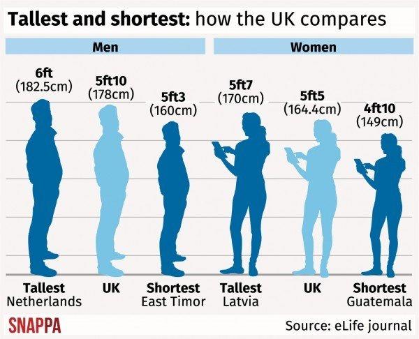 5 9 tall. Average height. Average female height. Average height for men in Russia. Average Human height.