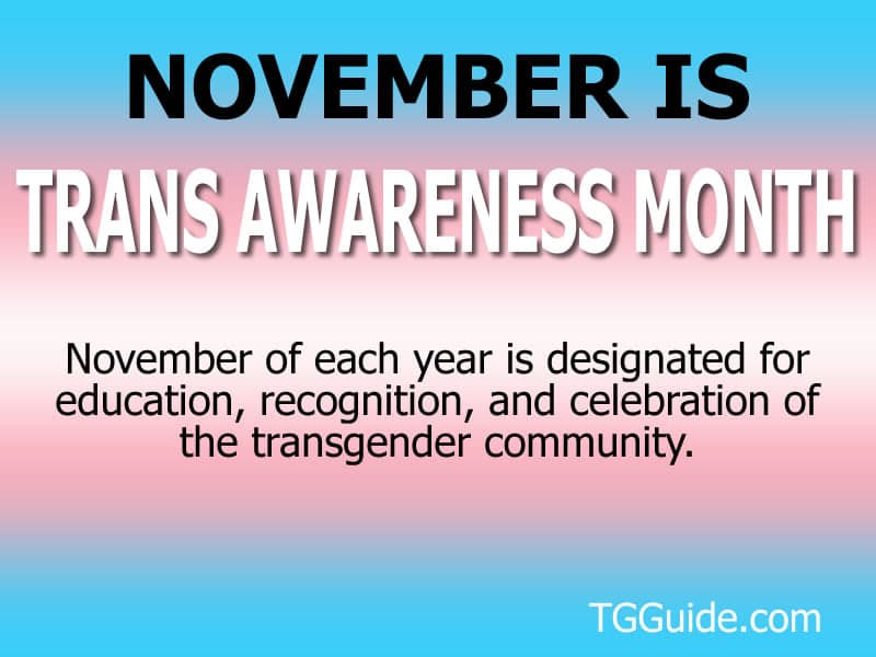 Trans Awareness Month Meme